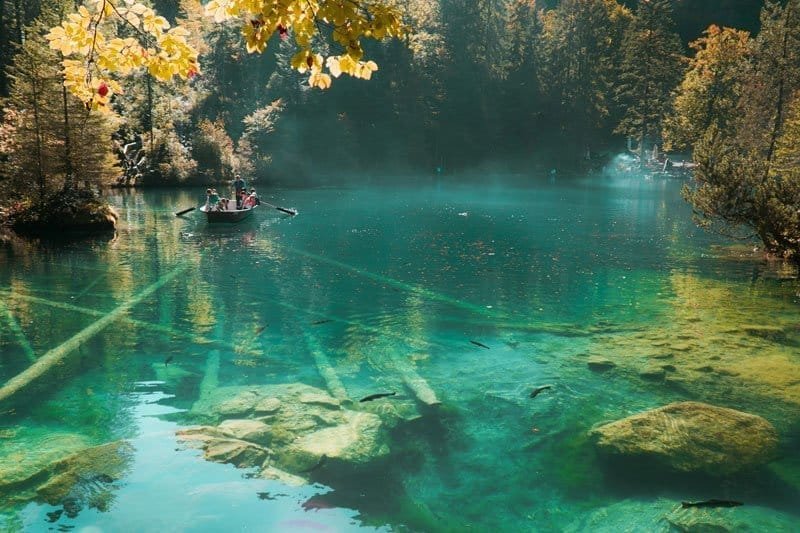 Lago Blausee: il magico Lago Blu nelle alpi svizzere