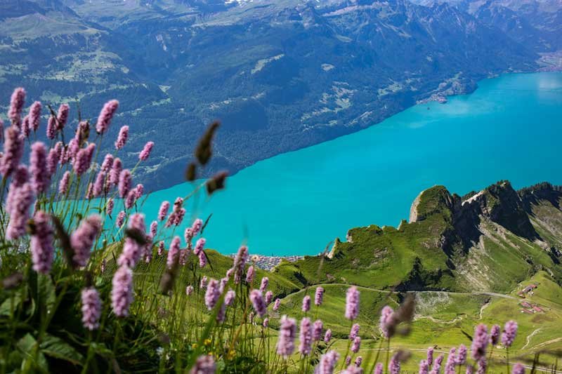 Lago di Brienz: un incanto alpino in Svizzera