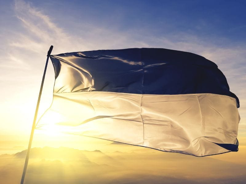 Canton Friburgo Svizzera Bandiera