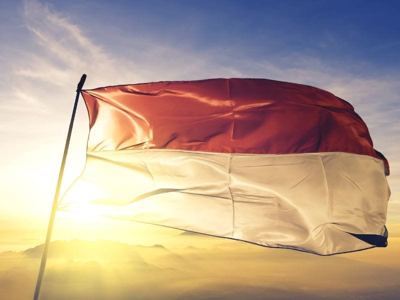 Canton Soletta Svizzera Bandiera