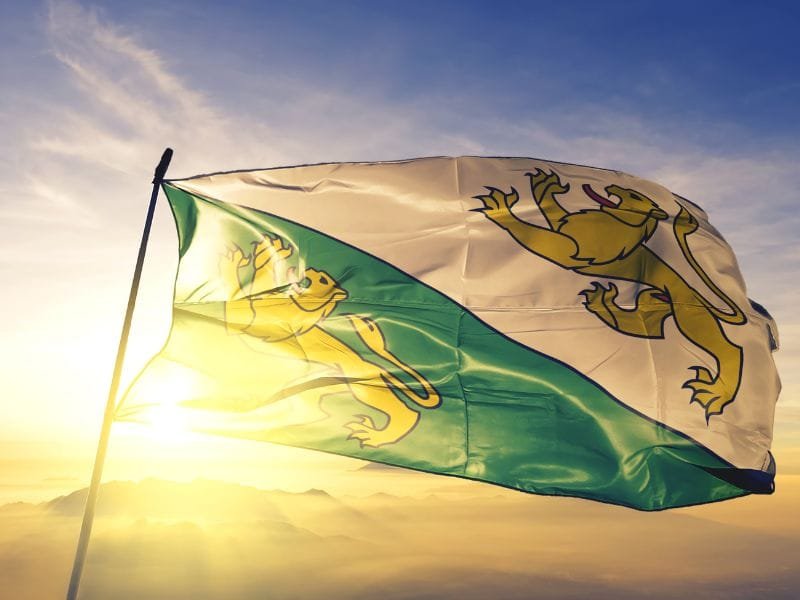 Canton Turgovia Svizzera Bandiera