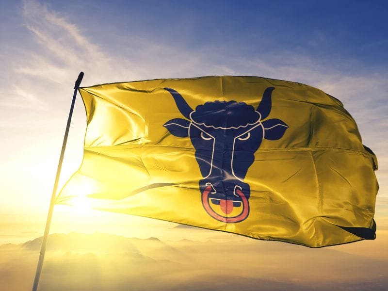Canton Uri Svizzera Bandiera